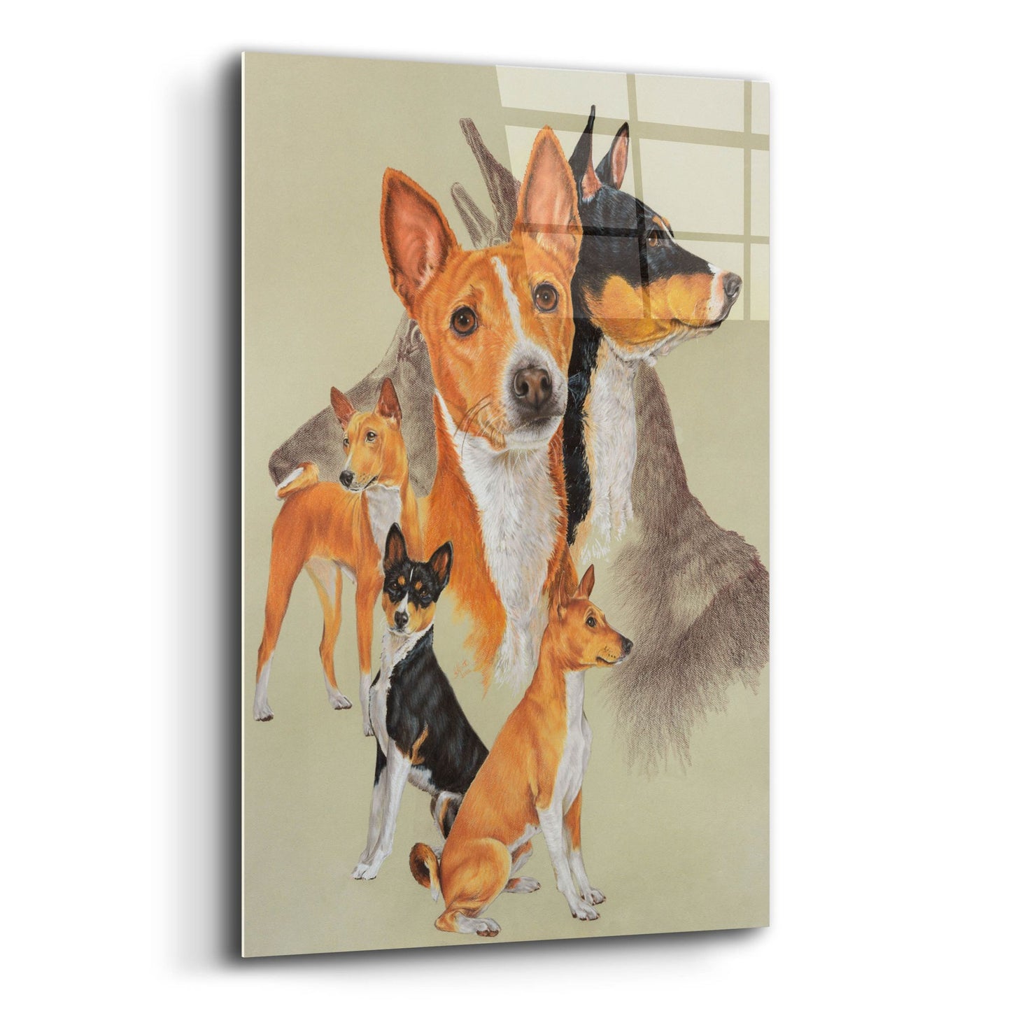 Epic Art 'Basenji and Ghost' by Barbara Keith, Acrylic Glass Wall Art,12x16