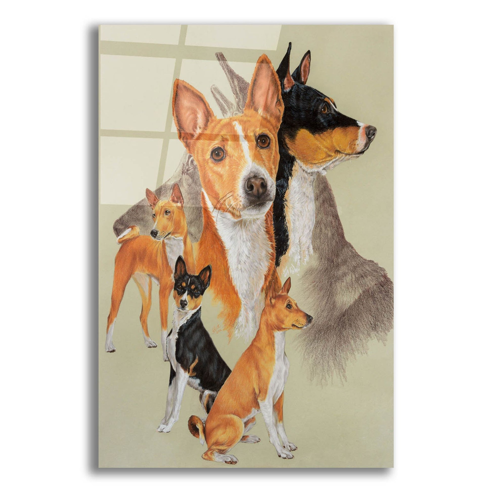 Epic Art 'Basenji and Ghost' by Barbara Keith, Acrylic Glass Wall Art,12x16