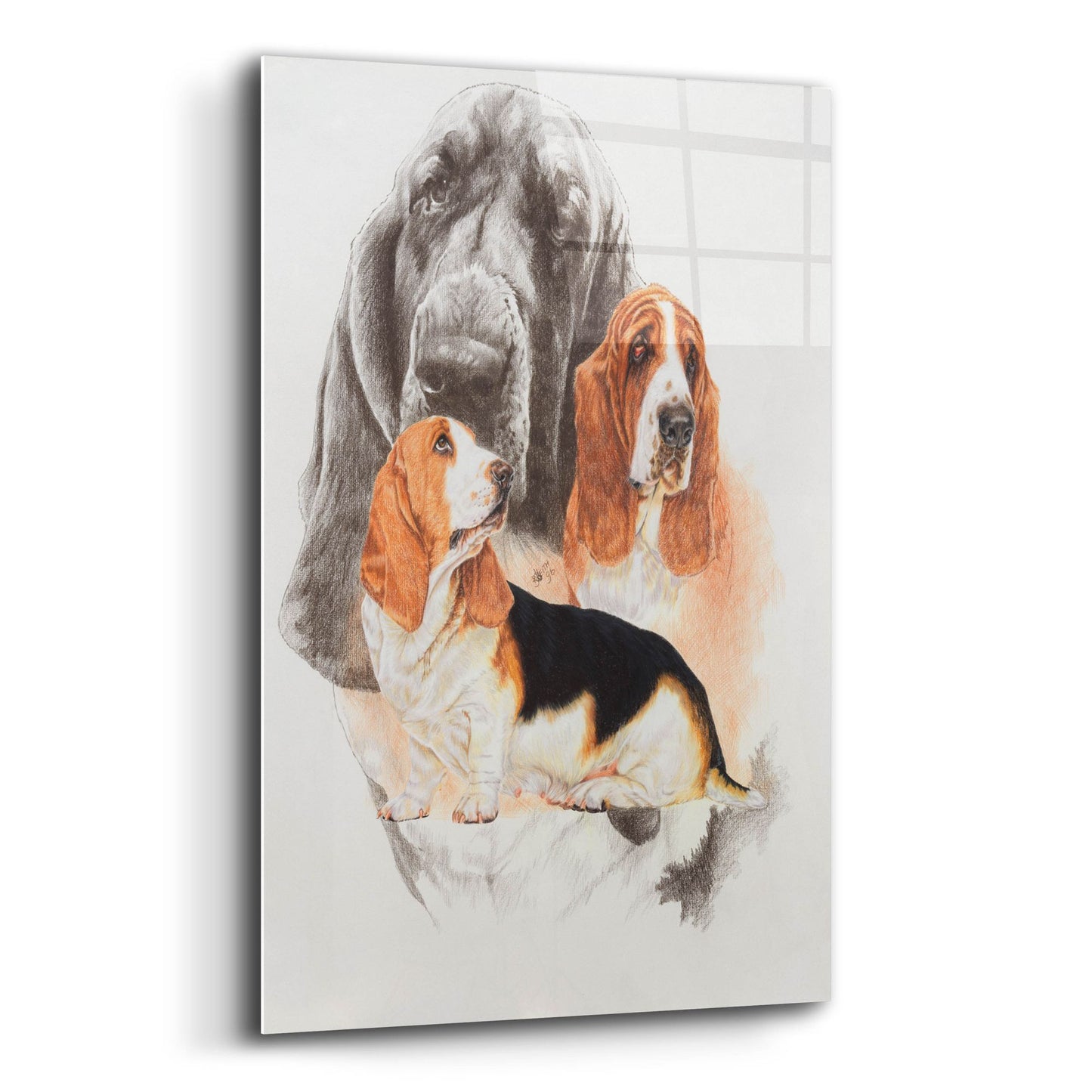 Epic Art 'Basset and Ghost' by Barbara Keith, Acrylic Glass Wall Art,12x16