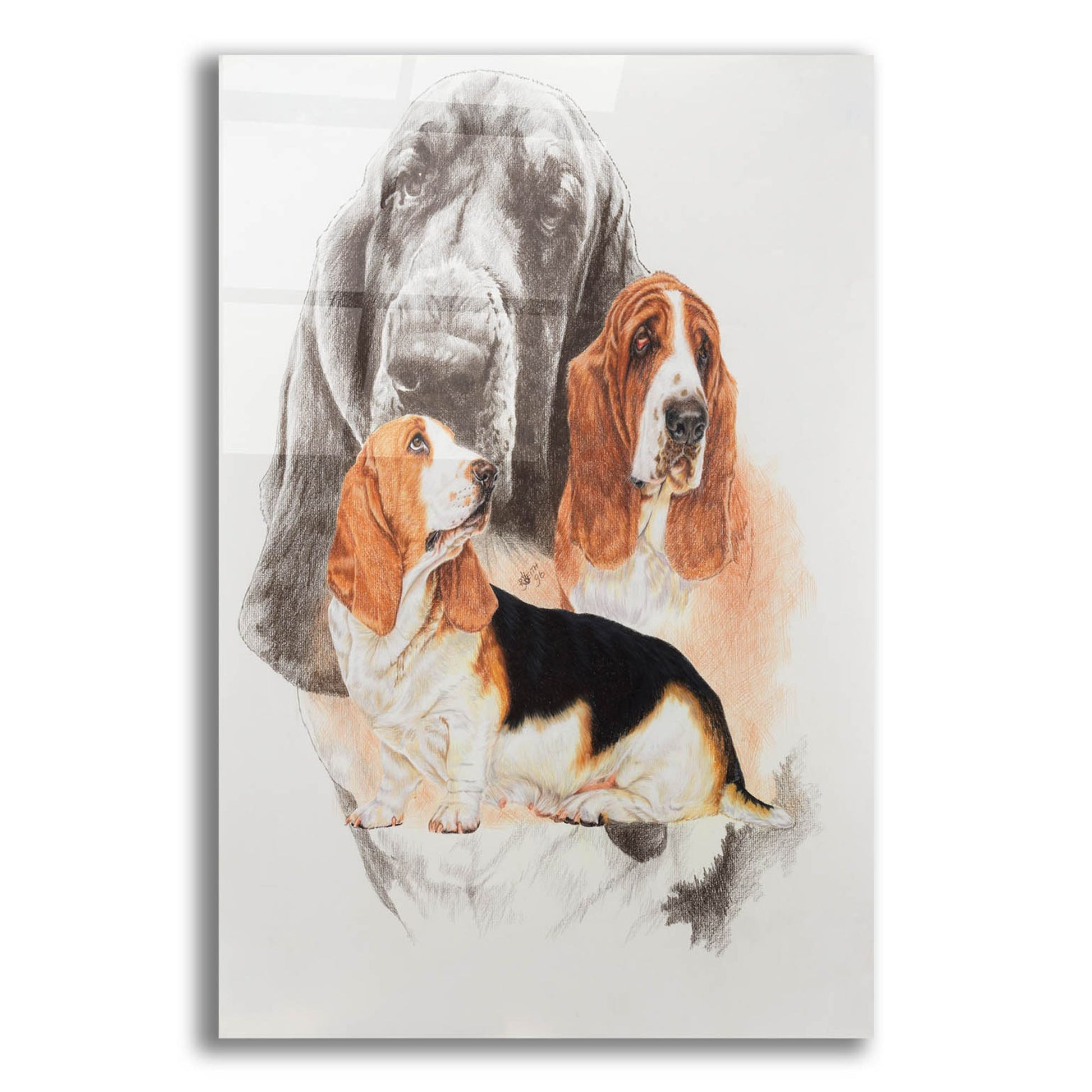 Epic Art 'Basset and Ghost' by Barbara Keith, Acrylic Glass Wall Art,12x16