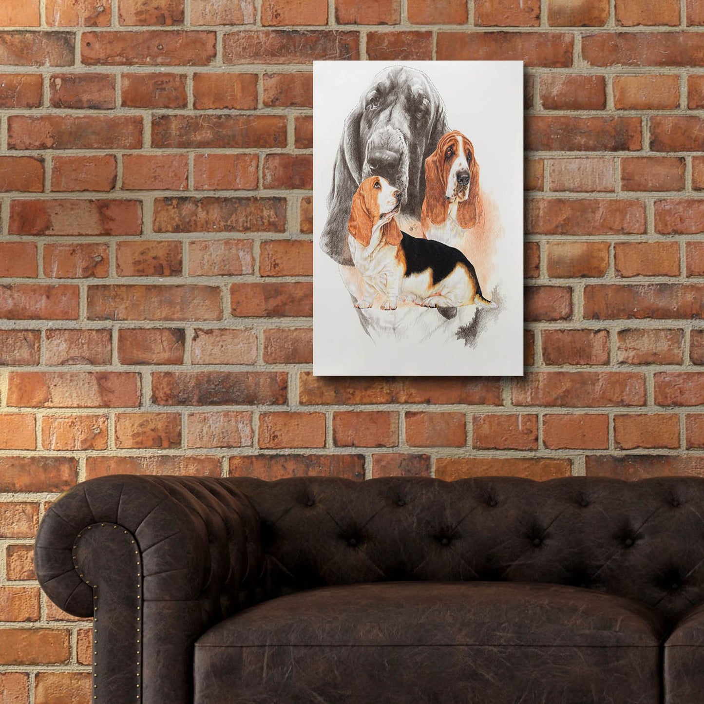 Epic Art 'Basset and Ghost' by Barbara Keith, Acrylic Glass Wall Art,16x24