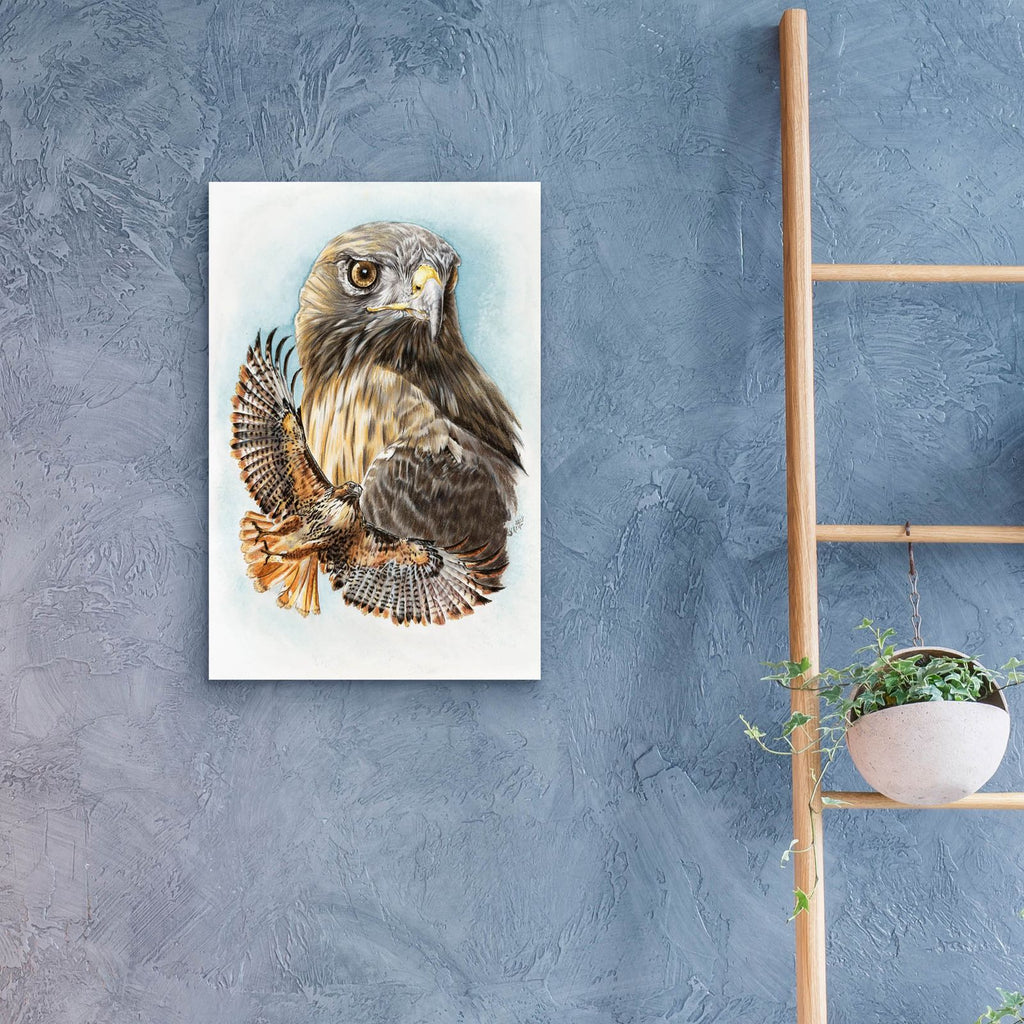Hawkeye by Barbara Keith - 16x24 acrylic wall art in a room