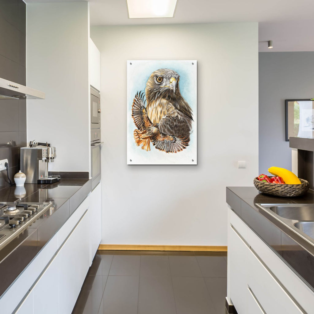 Hawkeye by Barbara Keith - 24x36 acrylic wall art in a room