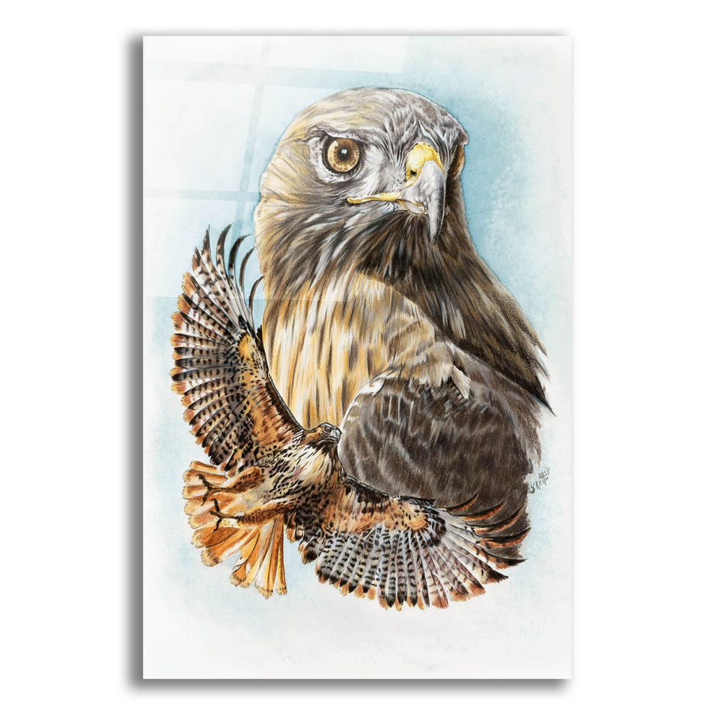 Hawkeye by Barbara Keith acrylic glass wall art