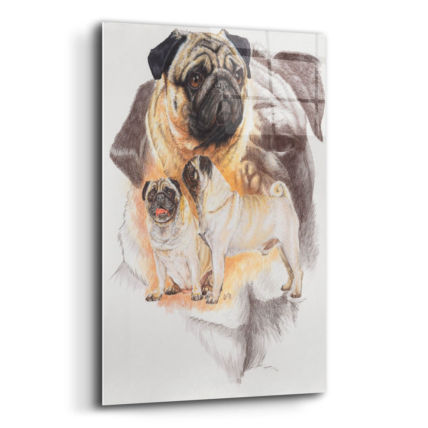 Epic Art 'Pug and Ghost' by Barbara Keith, Acrylic Glass Wall Art,12x16