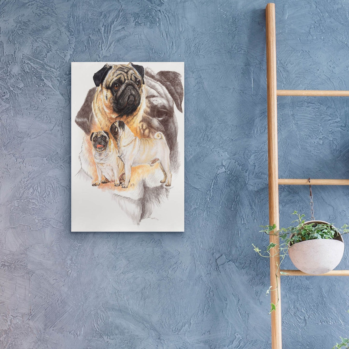 Epic Art 'Pug and Ghost' by Barbara Keith, Acrylic Glass Wall Art,16x24