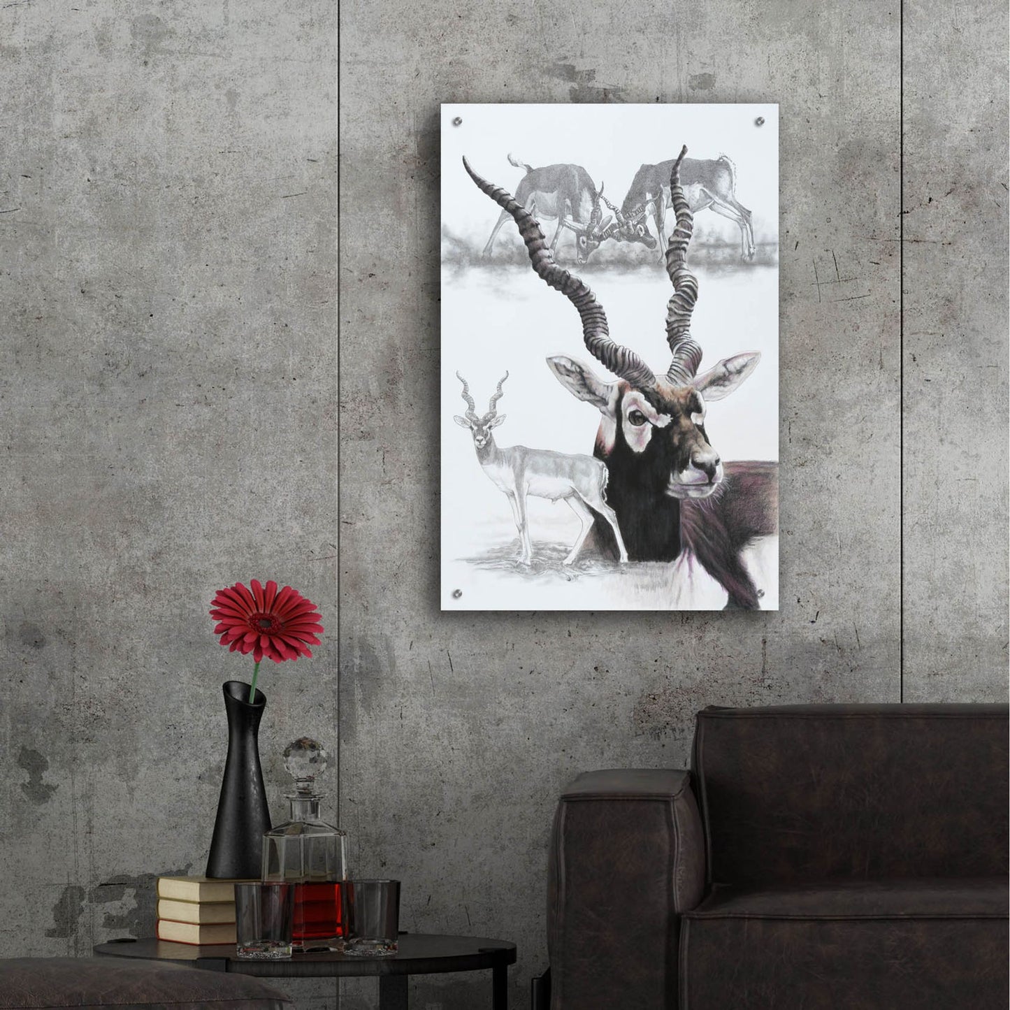 Epic Art 'Black Buck' by Barbara Keith, Acrylic Glass Wall Art,24x36