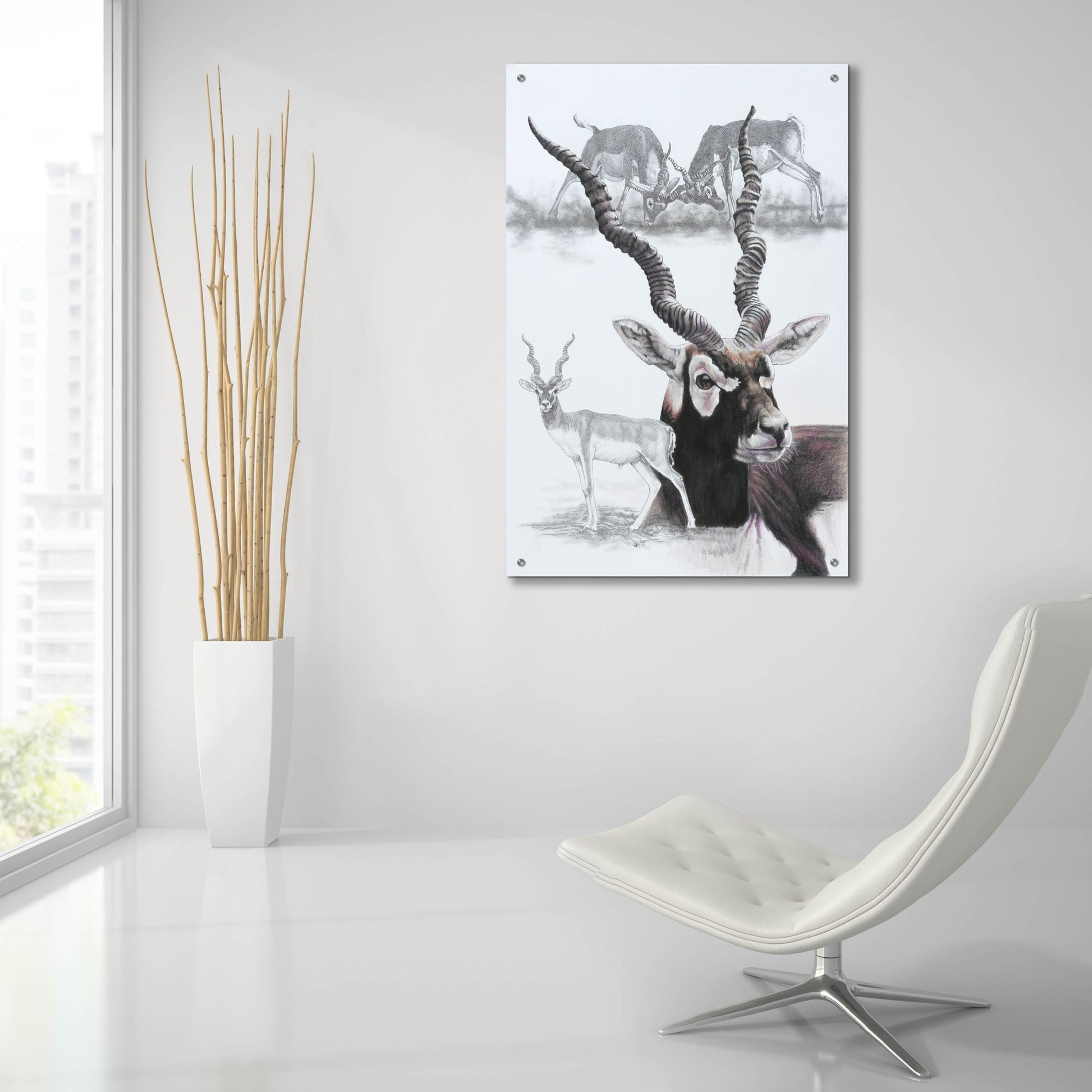 Epic Art 'Black Buck' by Barbara Keith, Acrylic Glass Wall Art,24x36