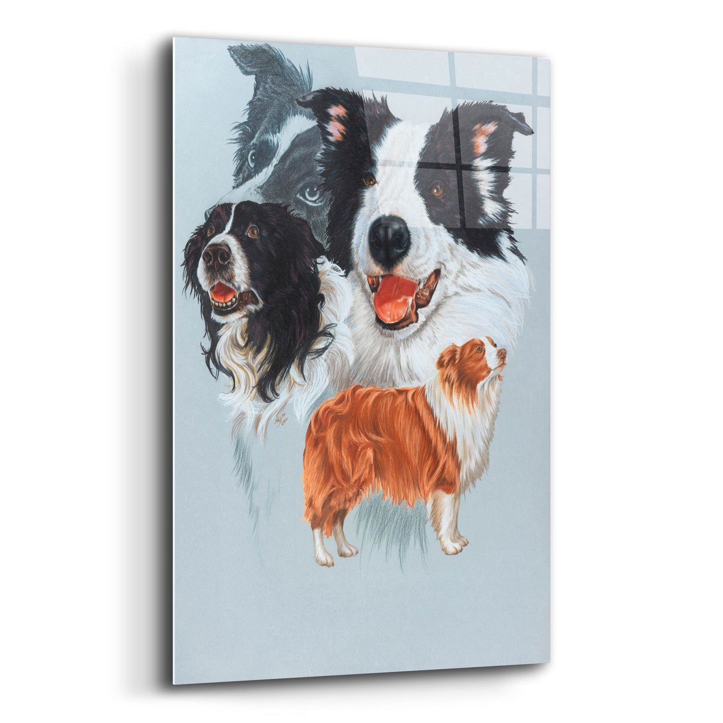 Epic Art 'Boarder Collie' by Barbara Keith, Acrylic Glass Wall Art,12x16