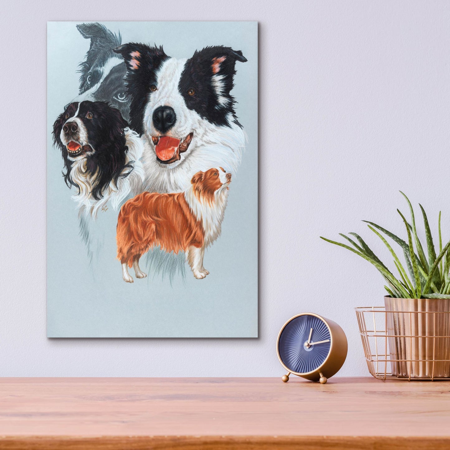 Epic Art 'Boarder Collie' by Barbara Keith, Acrylic Glass Wall Art,12x16