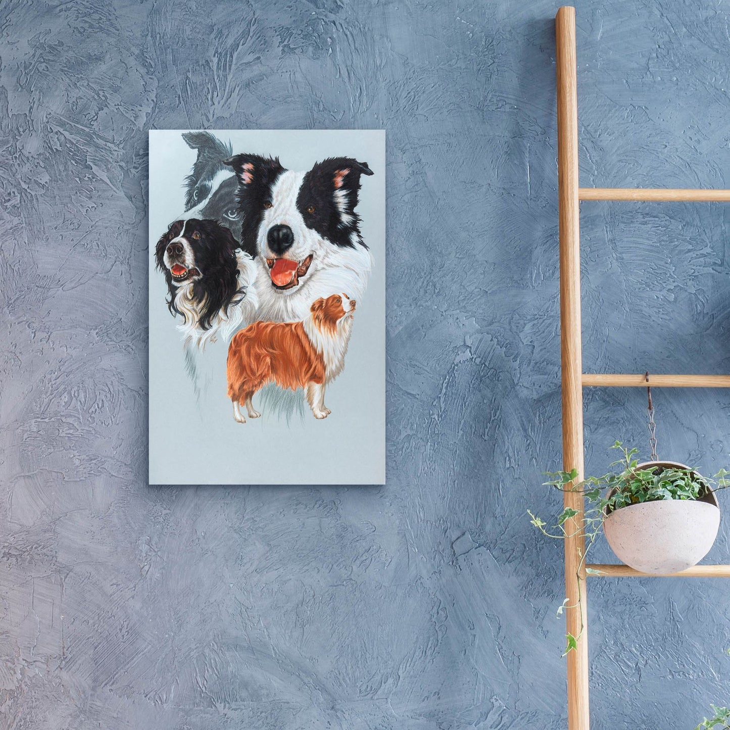 Epic Art 'Boarder Collie' by Barbara Keith, Acrylic Glass Wall Art,16x24