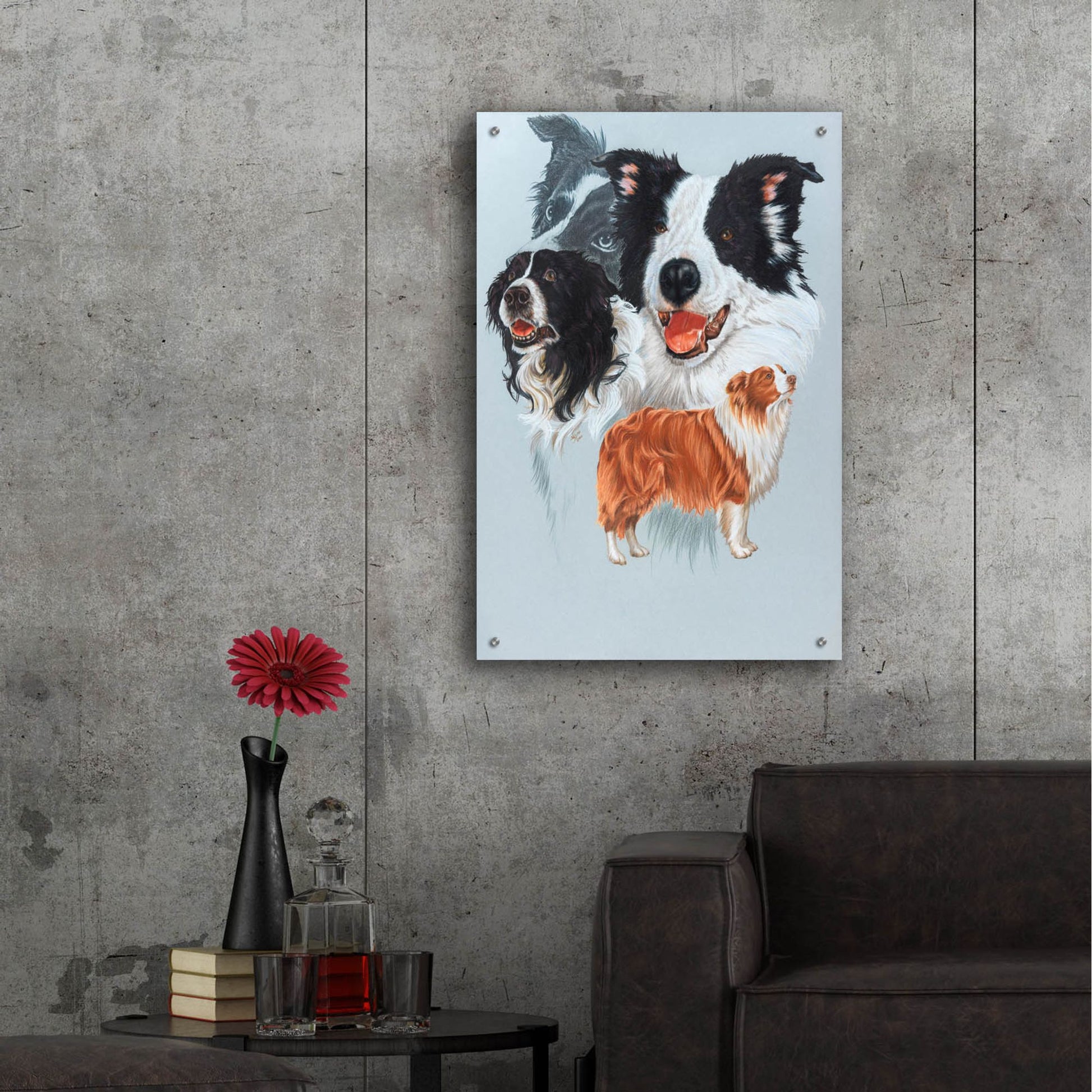 Epic Art 'Boarder Collie' by Barbara Keith, Acrylic Glass Wall Art,24x36