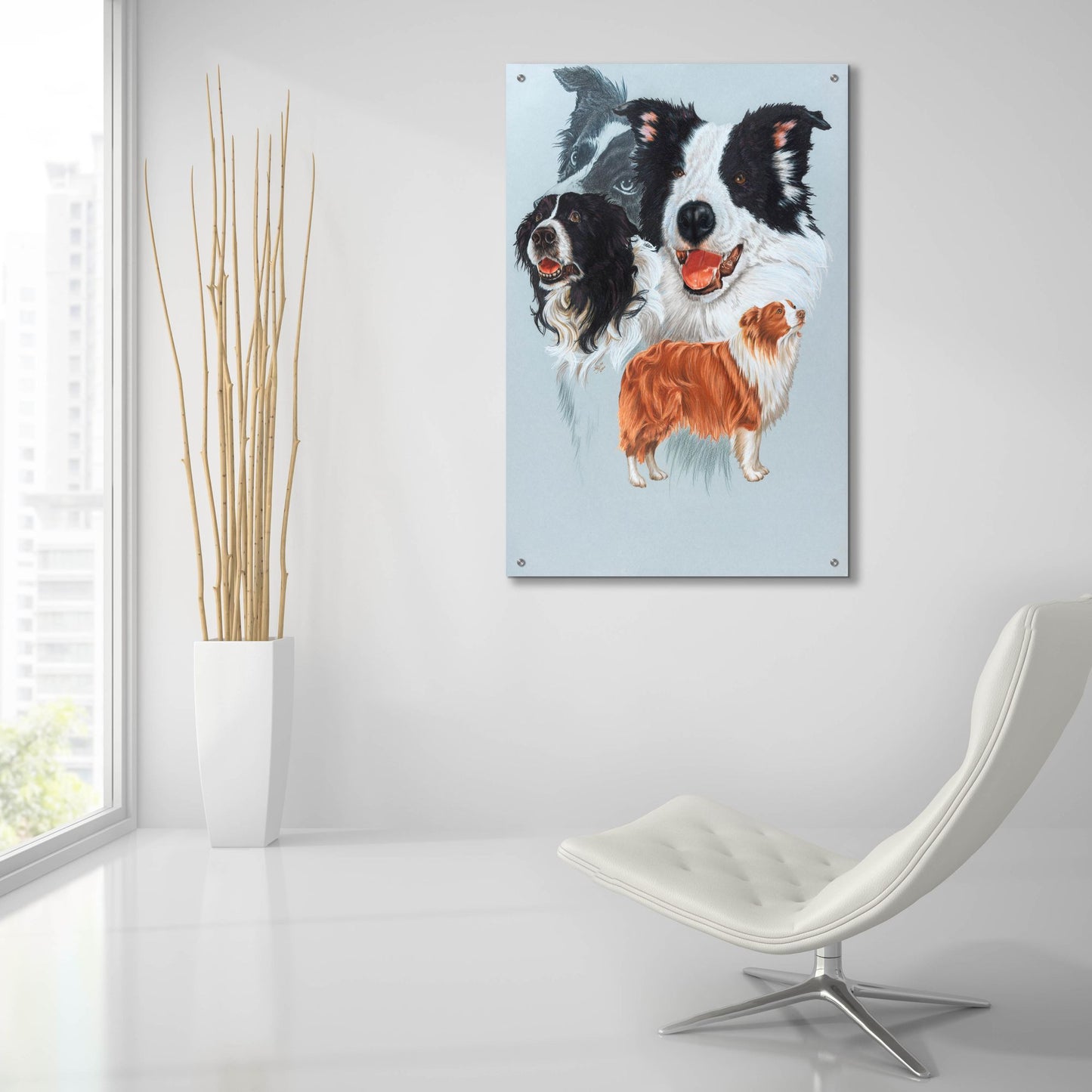 Epic Art 'Boarder Collie' by Barbara Keith, Acrylic Glass Wall Art,24x36