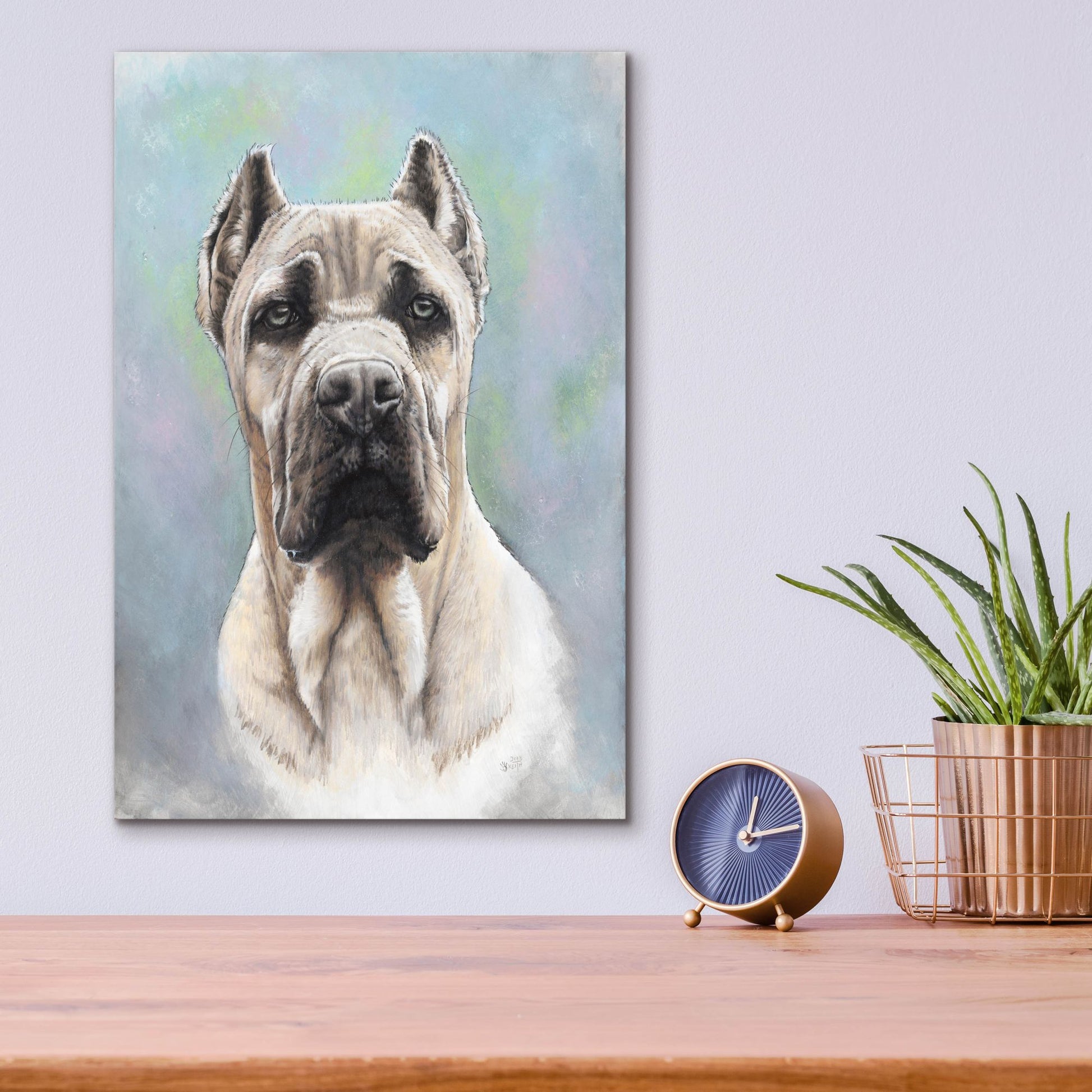 Epic Art 'Cane Corso 2' by Barbara Keith, Acrylic Glass Wall Art,12x16