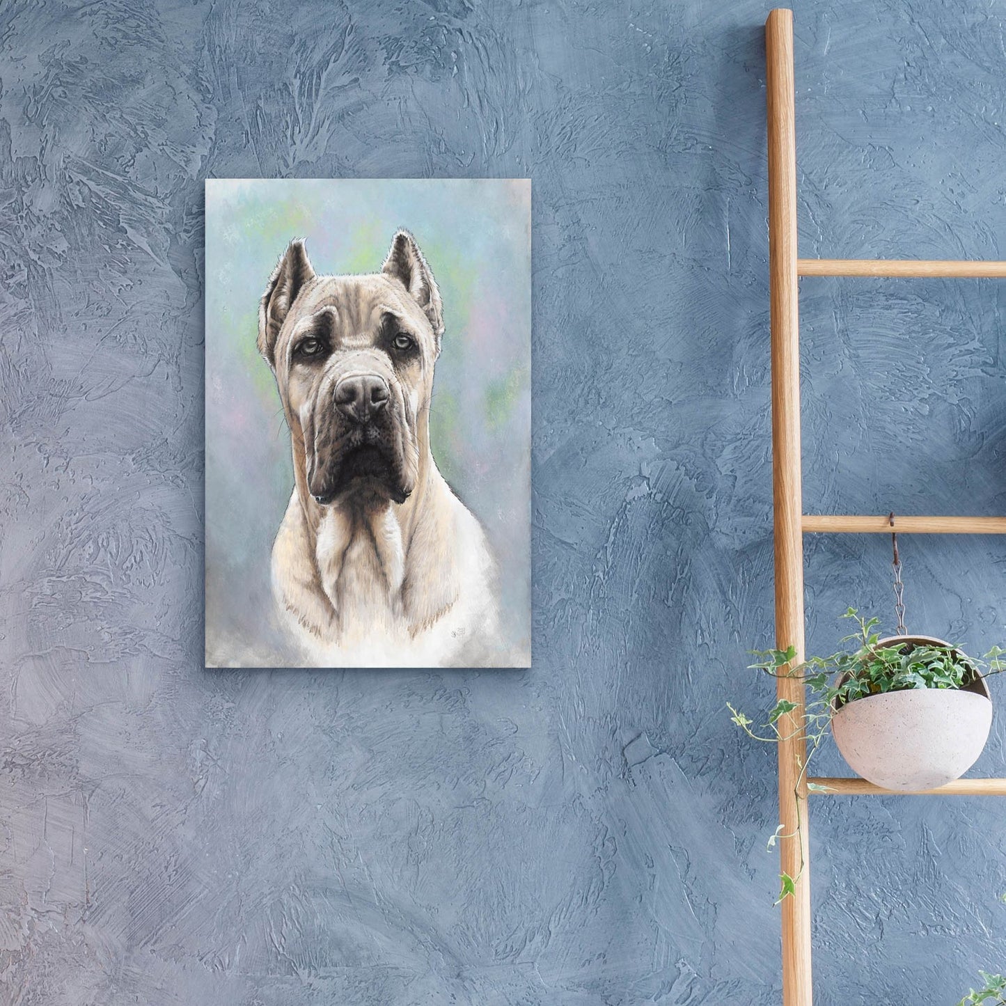 Epic Art 'Cane Corso 2' by Barbara Keith, Acrylic Glass Wall Art,16x24