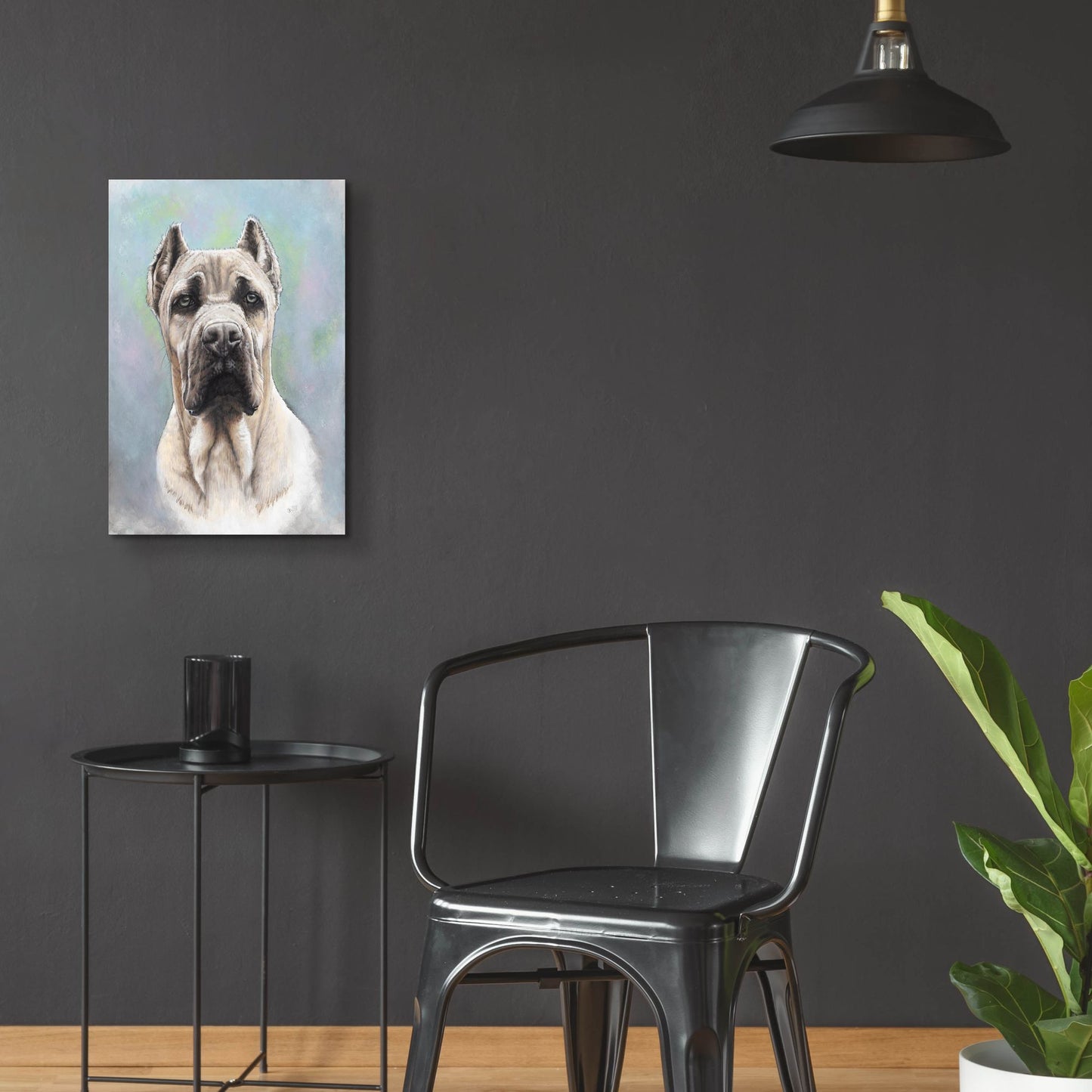 Epic Art 'Cane Corso 2' by Barbara Keith, Acrylic Glass Wall Art,16x24