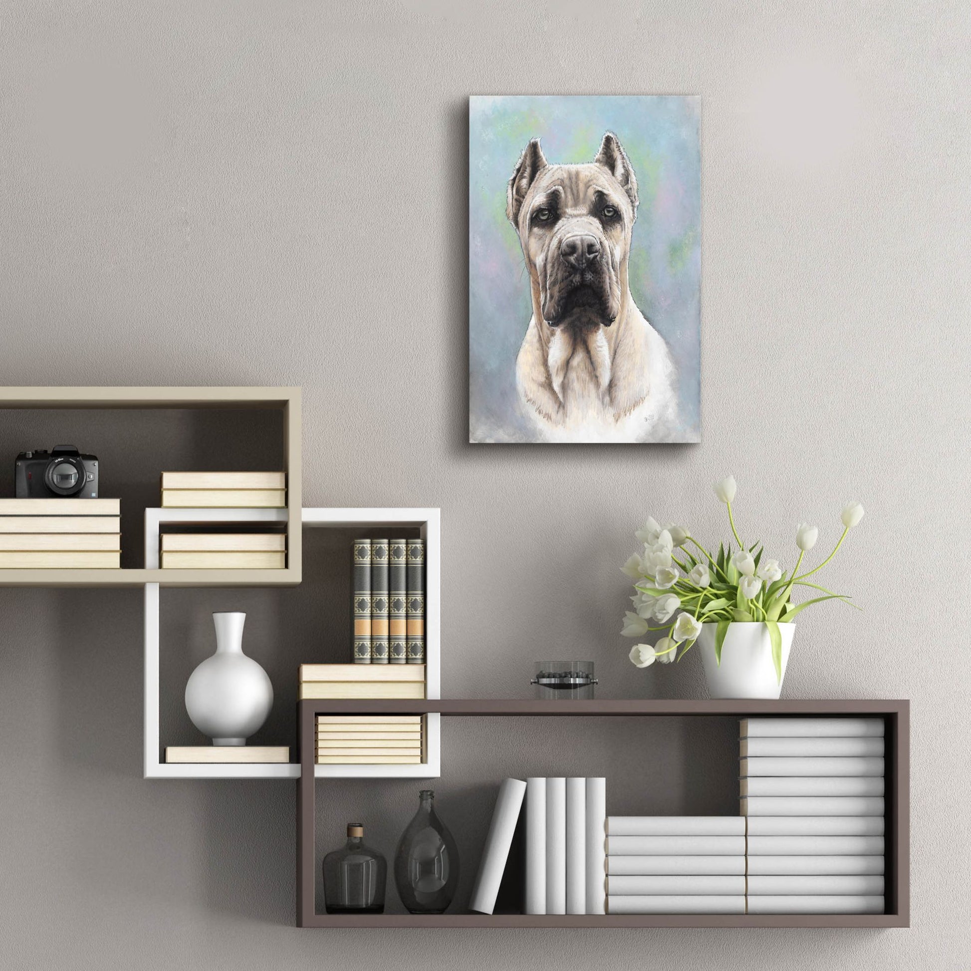 Epic Art 'Cane Corso 2' by Barbara Keith, Acrylic Glass Wall Art,16x24