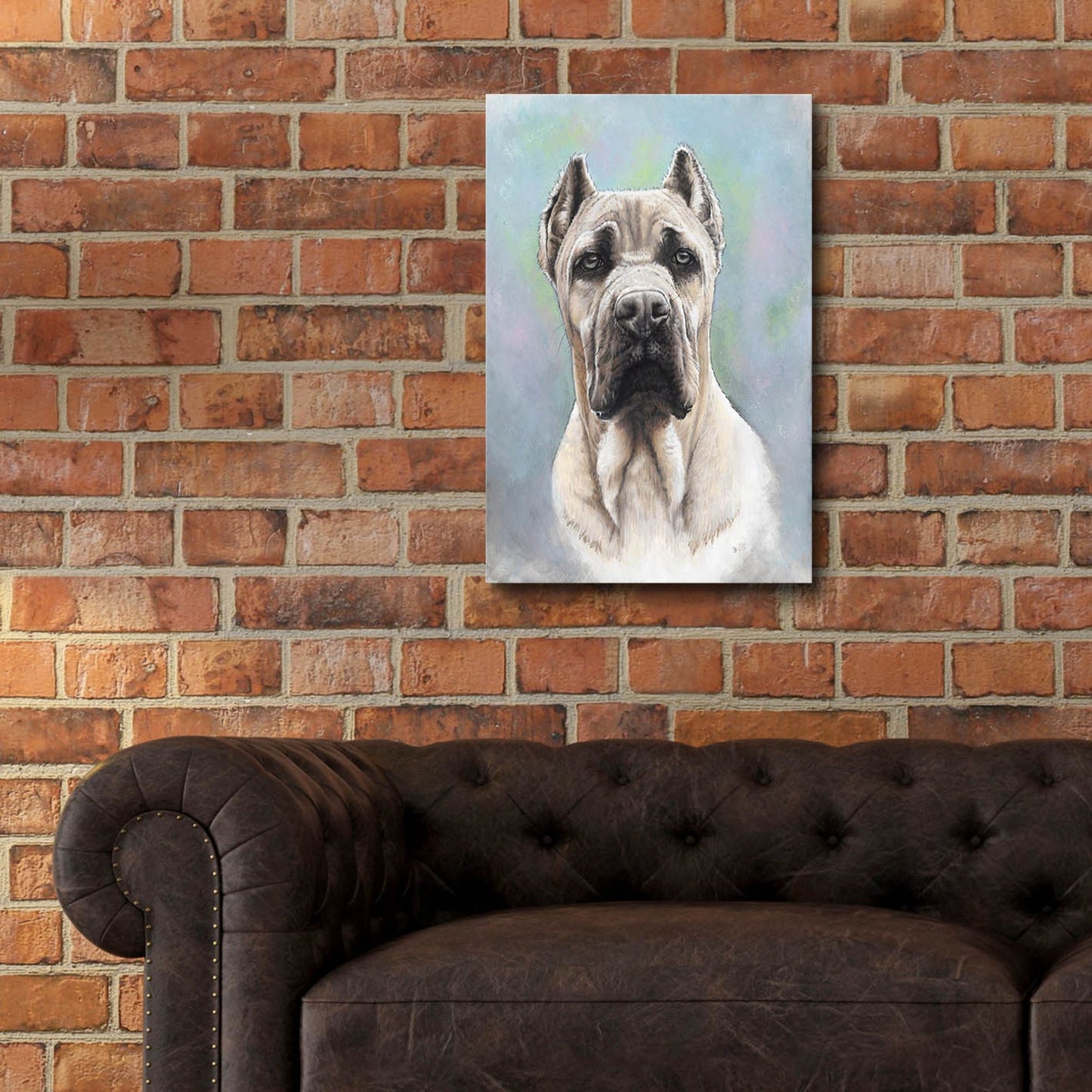 Epic Art 'Cane Corso 2' by Barbara Keith, Acrylic Glass Wall Art,16x24