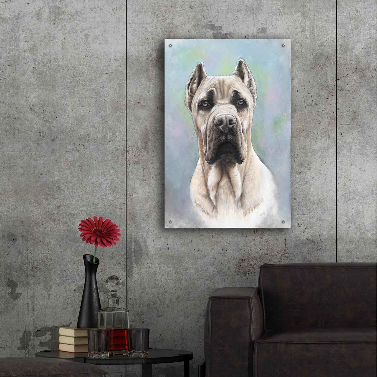 Epic Art 'Cane Corso 2' by Barbara Keith, Acrylic Glass Wall Art,24x36