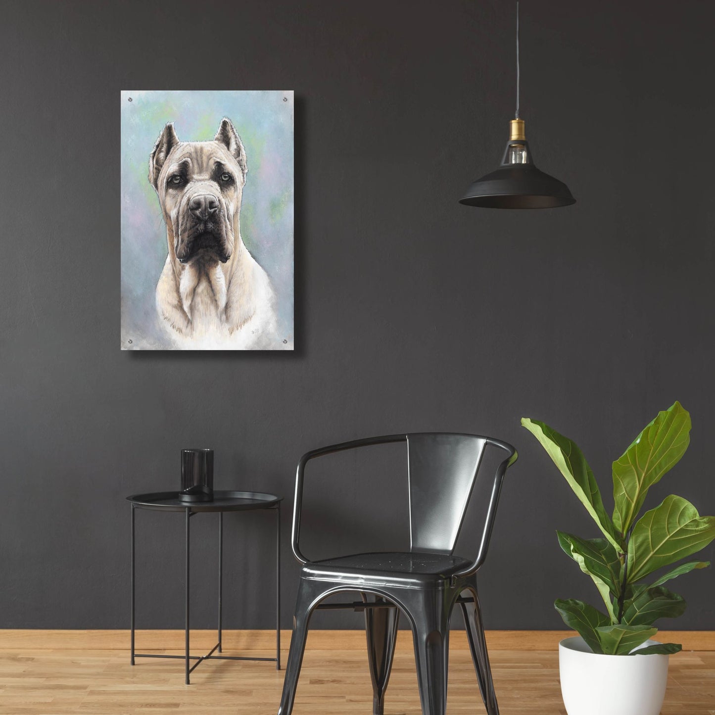 Epic Art 'Cane Corso 2' by Barbara Keith, Acrylic Glass Wall Art,24x36