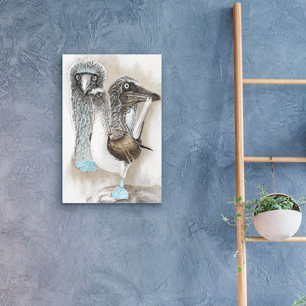 Dapper by Barbara Keith - 16x24 acrylic wall art in a room