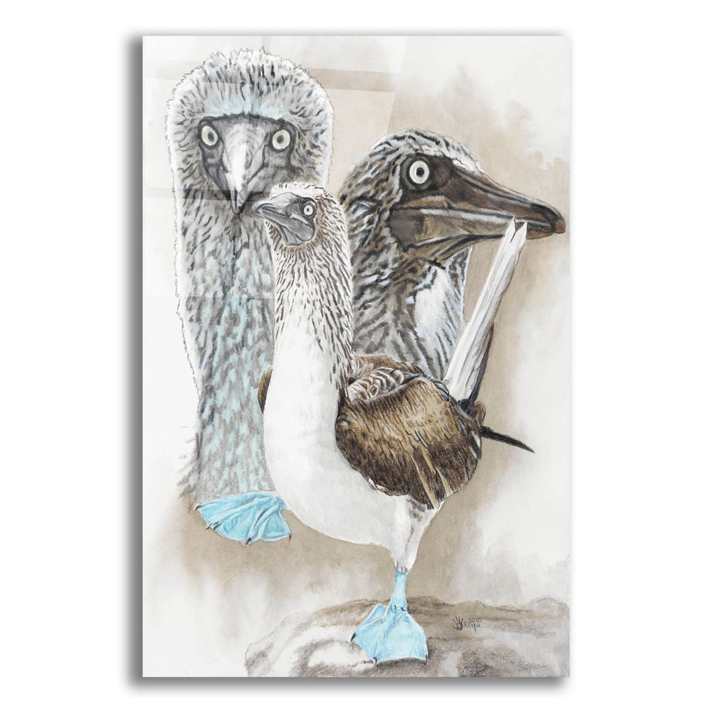 Dapper by Barbara Keith acrylic glass wall art