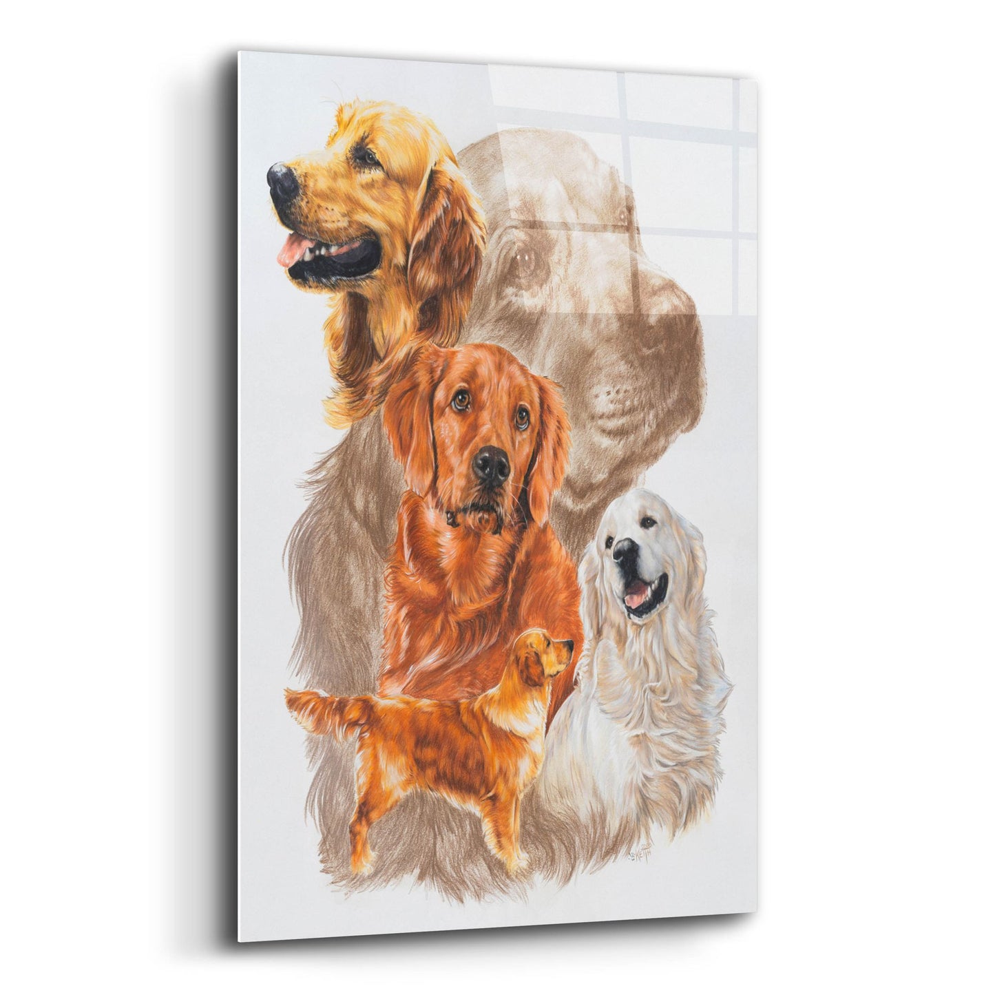 Epic Art 'Golden Retriever with Ghost Image' by Barbara Keith, Acrylic Glass Wall Art,12x16