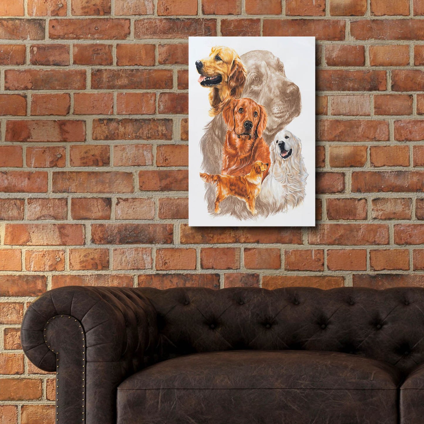 Epic Art 'Golden Retriever with Ghost Image' by Barbara Keith, Acrylic Glass Wall Art,16x24