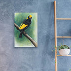 Regent by Barbara Keith - 16x24 acrylic wall art in a room
