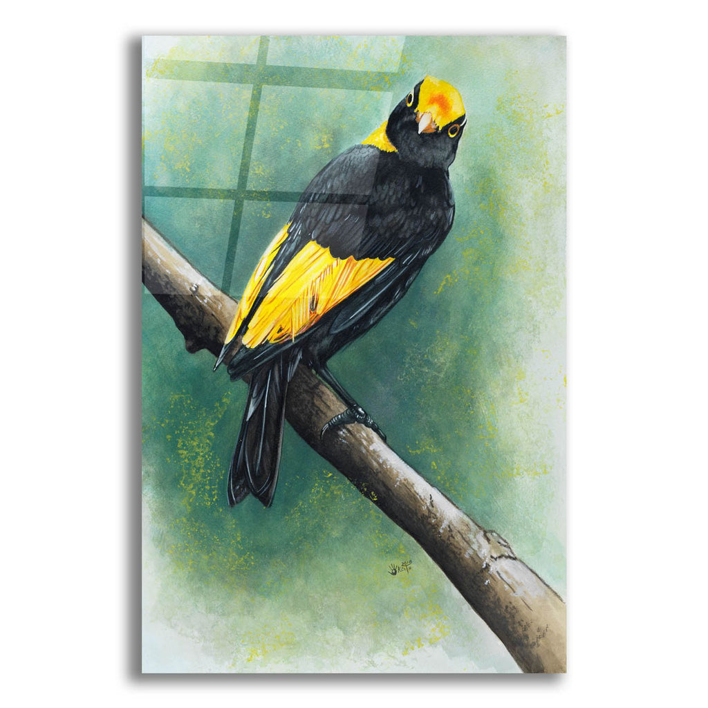 Regent by Barbara Keith acrylic glass wall art