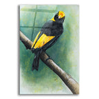 Regent by Barbara Keith acrylic glass wall art