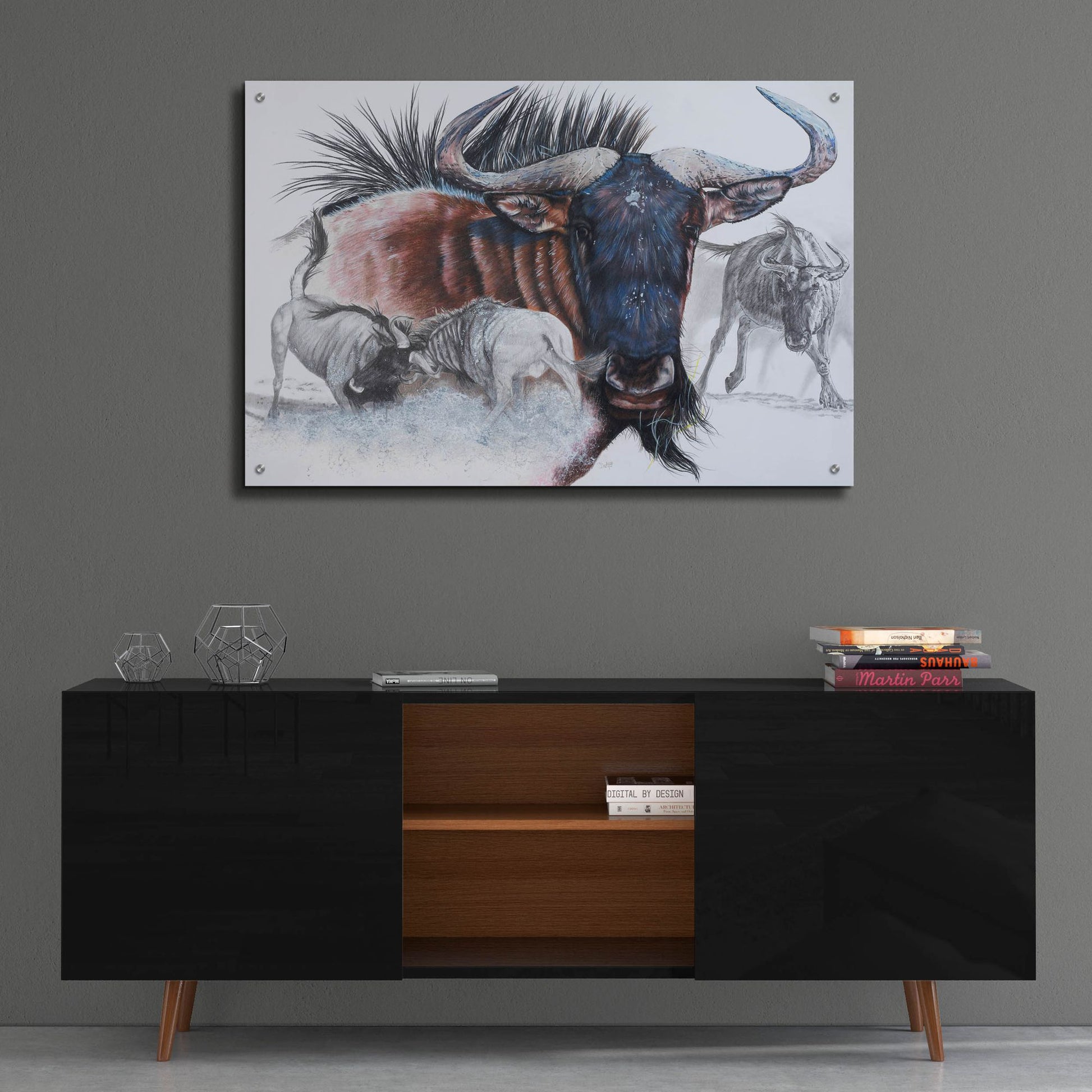 Epic Art 'Wildebeest' by Barbara Keith, Acrylic Glass Wall Art,36x24