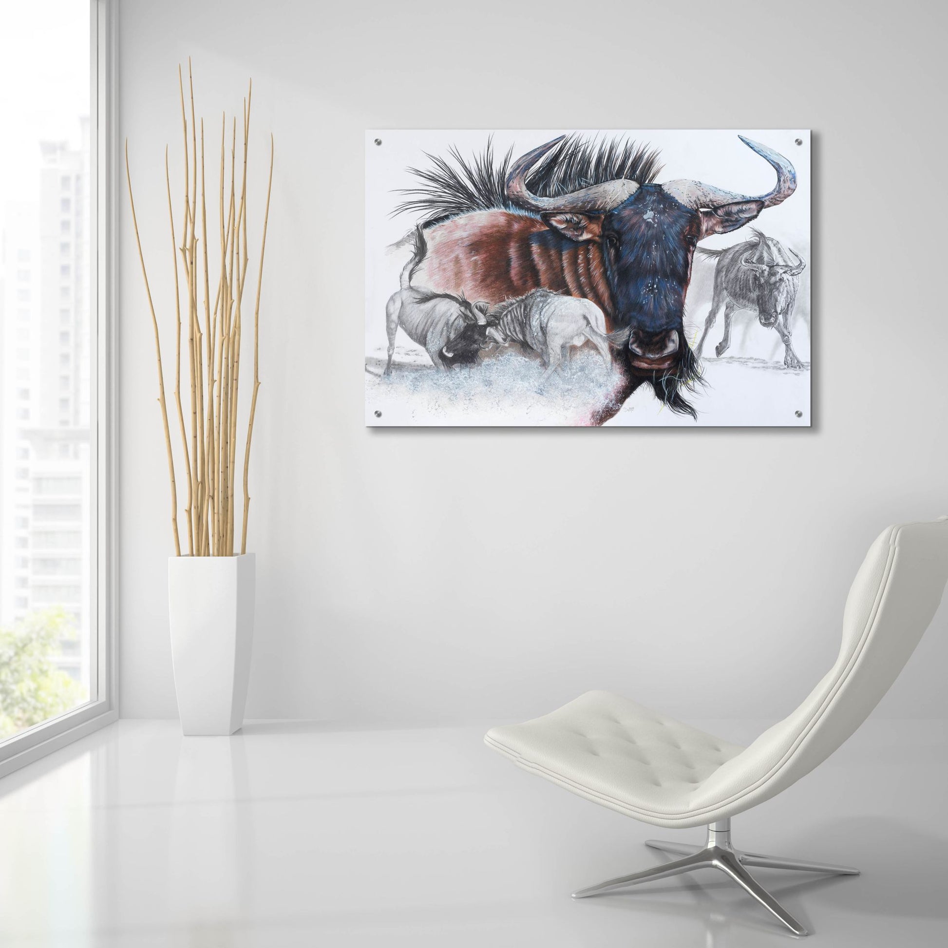 Epic Art 'Wildebeest' by Barbara Keith, Acrylic Glass Wall Art,36x24