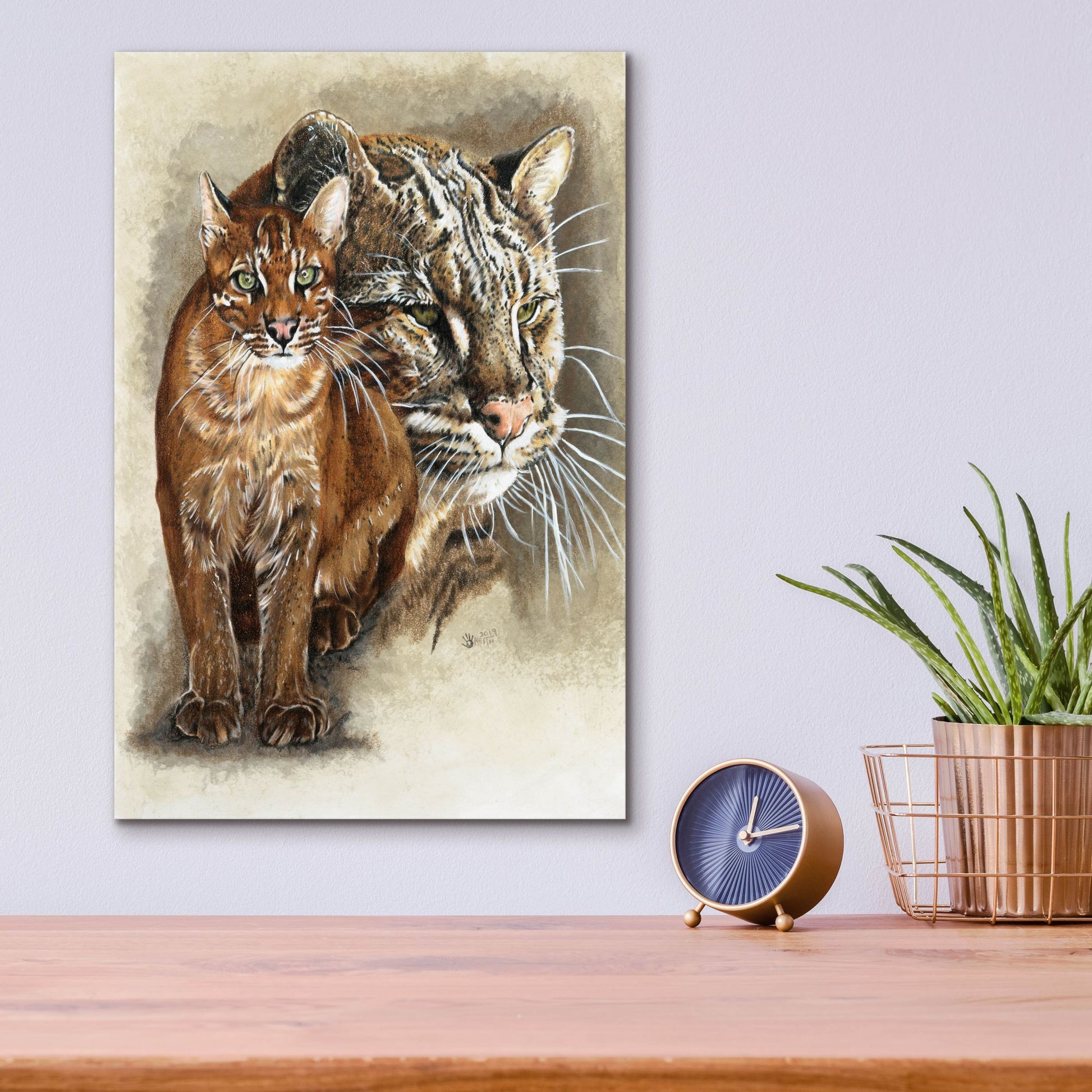 Epic Art 'Asian Golden Cat' by Barbara Keith, Acrylic Glass Wall Art,12x16