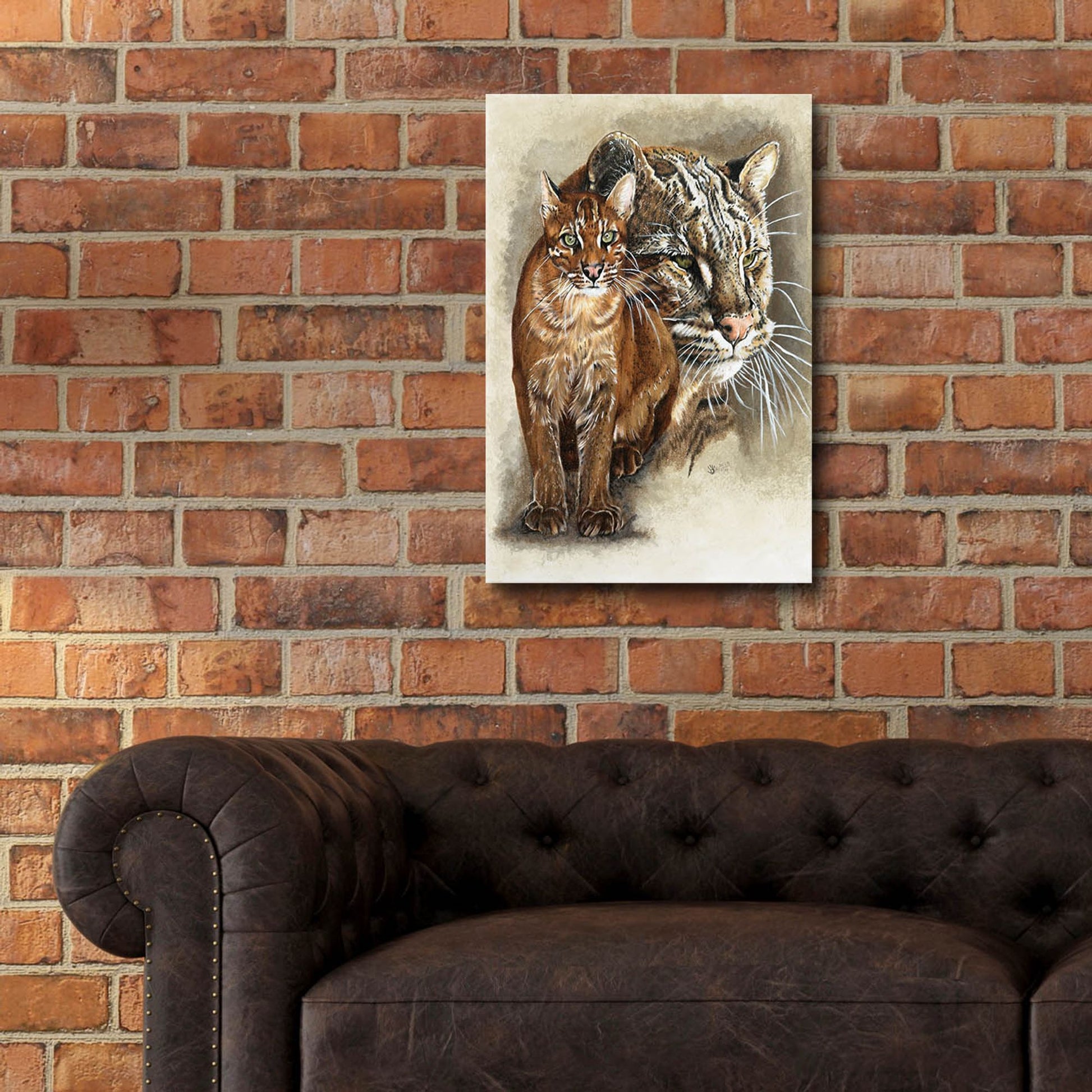 Epic Art 'Asian Golden Cat' by Barbara Keith, Acrylic Glass Wall Art,16x24