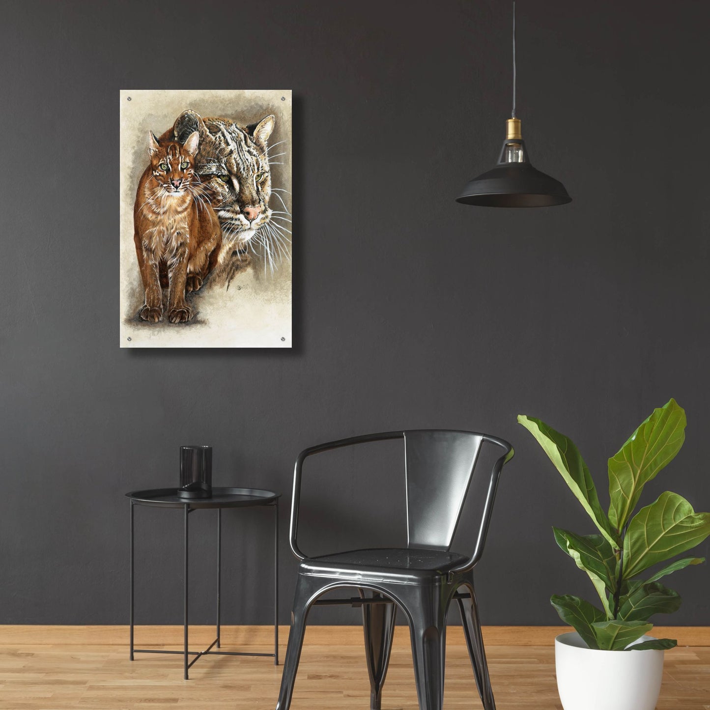 Epic Art 'Asian Golden Cat' by Barbara Keith, Acrylic Glass Wall Art,24x36