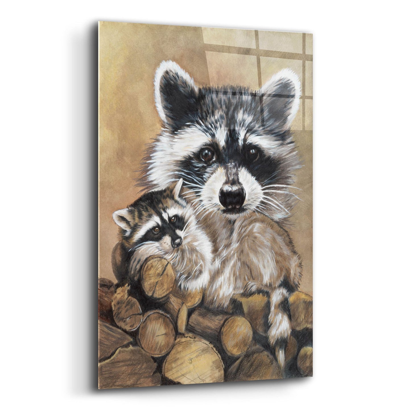 Epic Art 'Bandit' by Barbara Keith, Acrylic Glass Wall Art,12x16