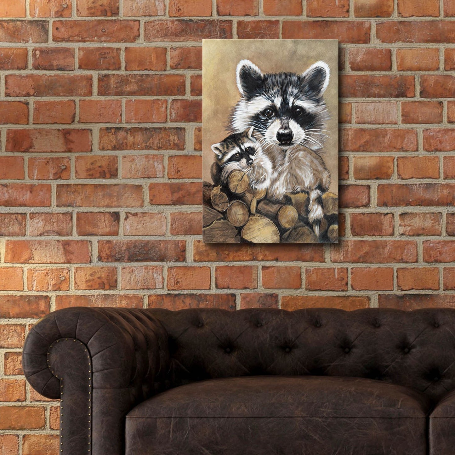 Epic Art 'Bandit' by Barbara Keith, Acrylic Glass Wall Art,16x24