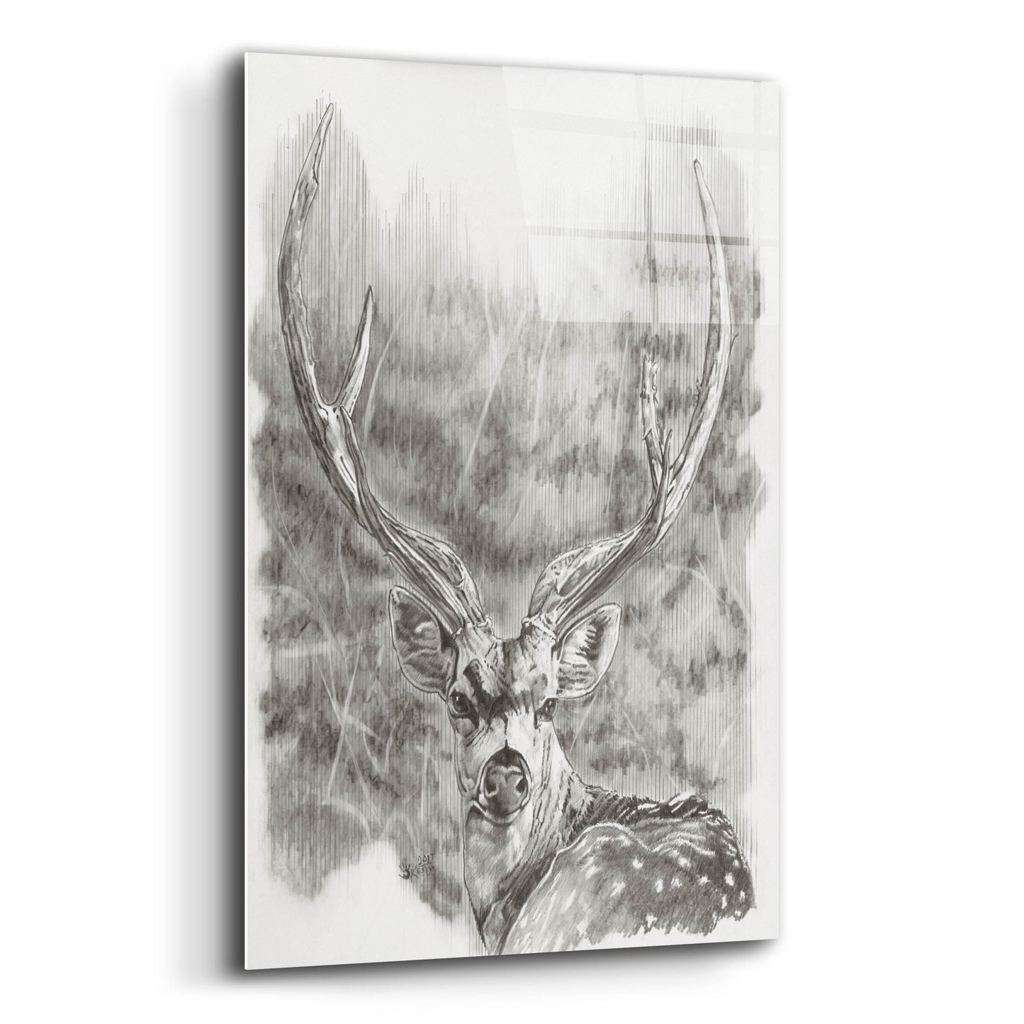 Epic Art 'Chital Deer' by Barbara Keith, Acrylic Glass Wall Art,12x16