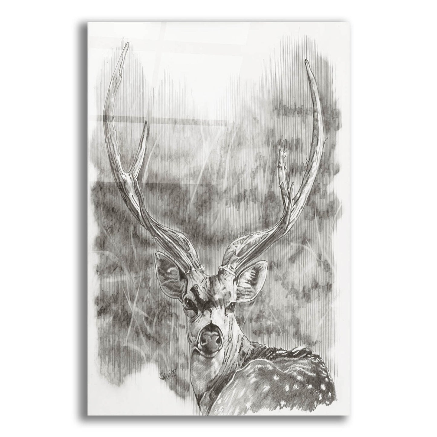 Epic Art 'Chital Deer' by Barbara Keith, Acrylic Glass Wall Art,12x16