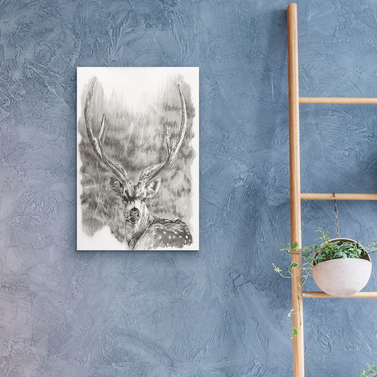Chital Deer by Barbara Keith - 16x24 acrylic wall art in a room