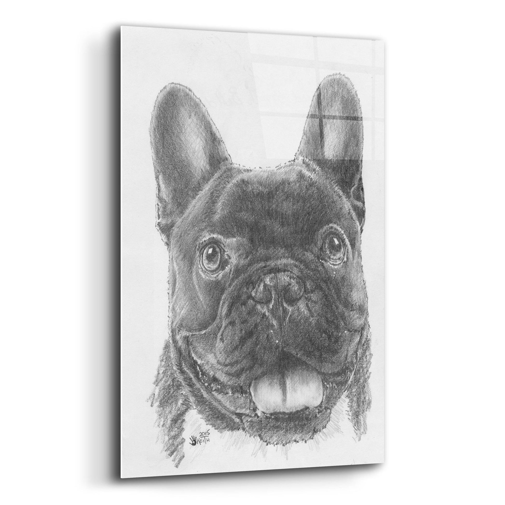 Epic Art 'French Bulldog 3' by Barbara Keith, Acrylic Glass Wall Art,12x16