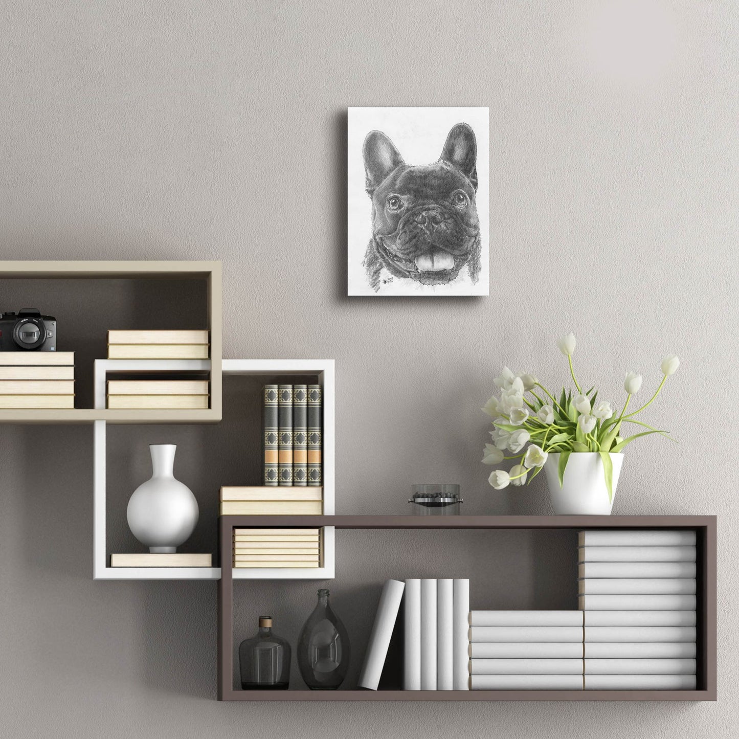 Epic Art 'French Bulldog 3' by Barbara Keith, Acrylic Glass Wall Art,12x16