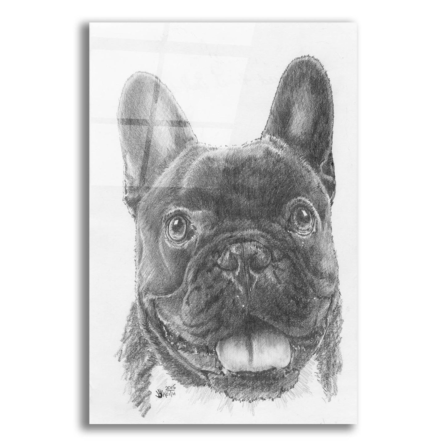 Epic Art 'French Bulldog 3' by Barbara Keith, Acrylic Glass Wall Art,12x16