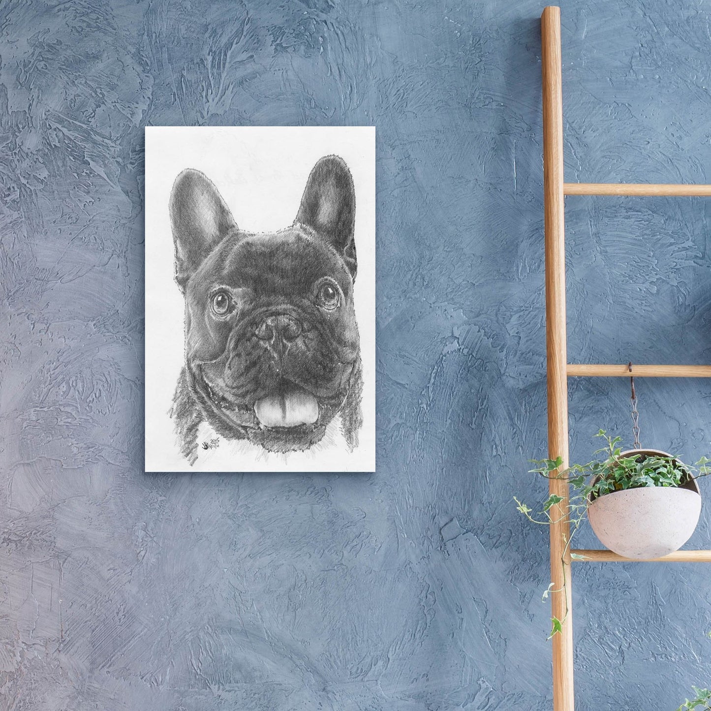 Epic Art 'French Bulldog 3' by Barbara Keith, Acrylic Glass Wall Art,16x24