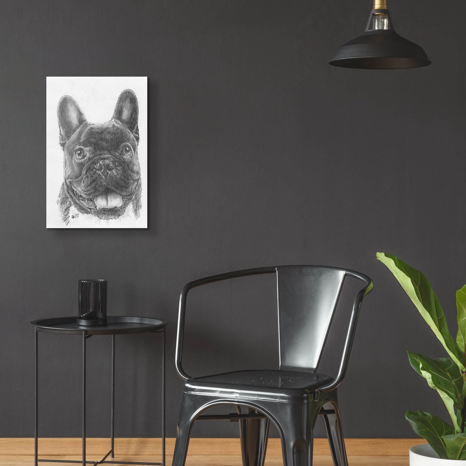 Epic Art 'French Bulldog 3' by Barbara Keith, Acrylic Glass Wall Art,16x24