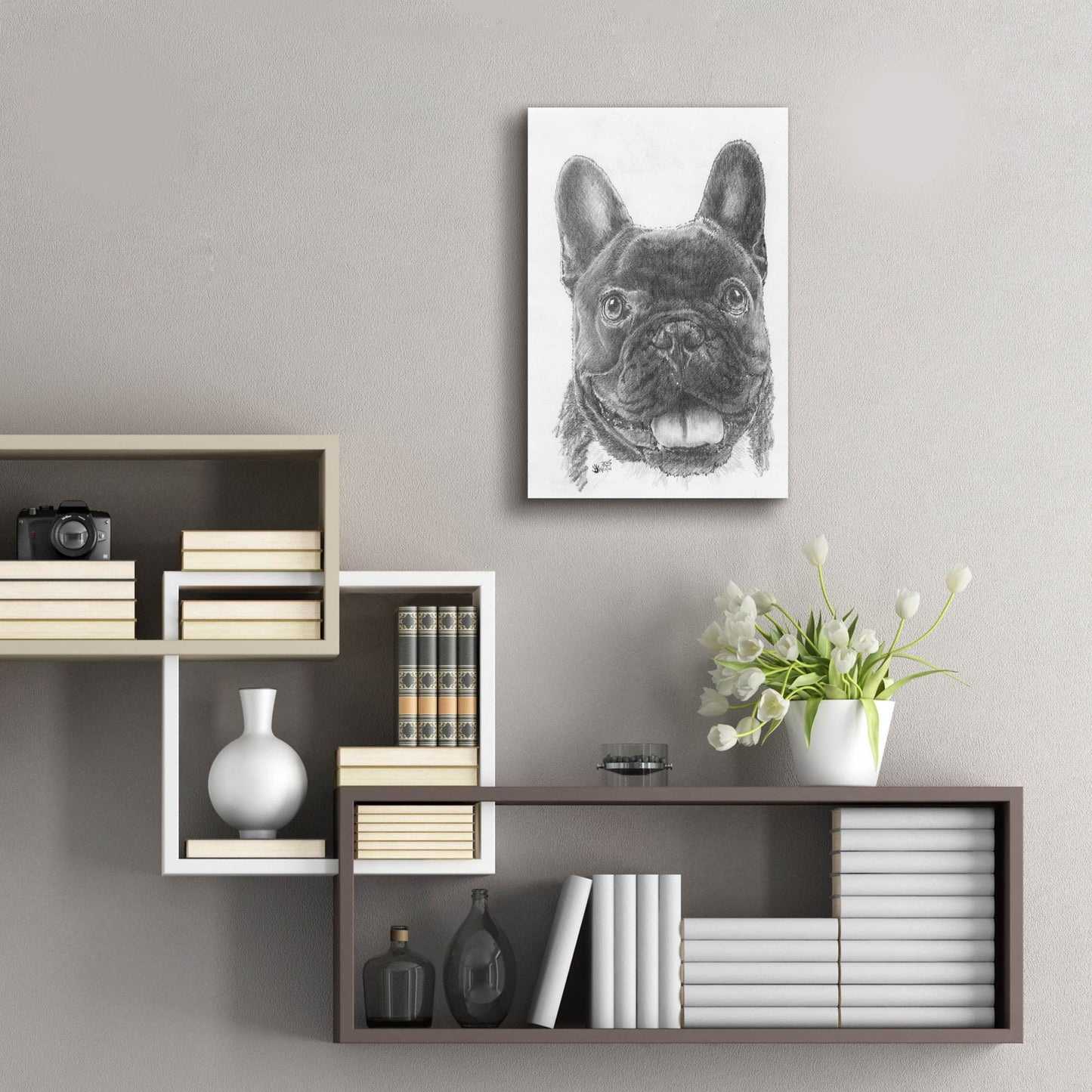 Epic Art 'French Bulldog 3' by Barbara Keith, Acrylic Glass Wall Art,16x24