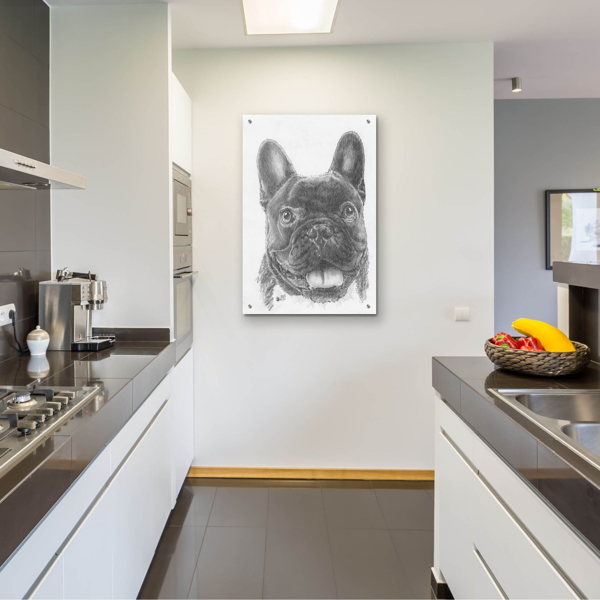 Epic Art 'French Bulldog 3' by Barbara Keith, Acrylic Glass Wall Art,24x36