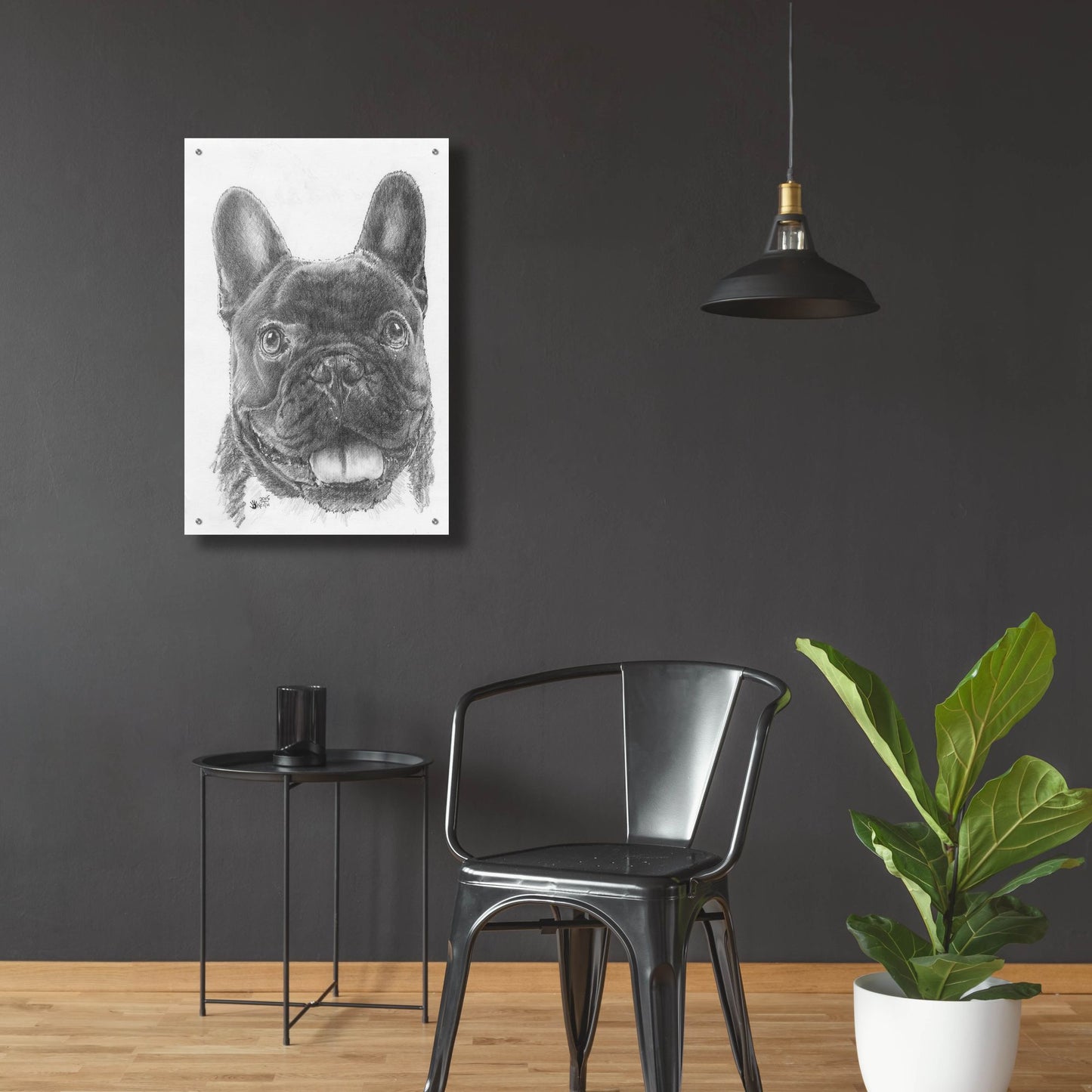 Epic Art 'French Bulldog 3' by Barbara Keith, Acrylic Glass Wall Art,24x36