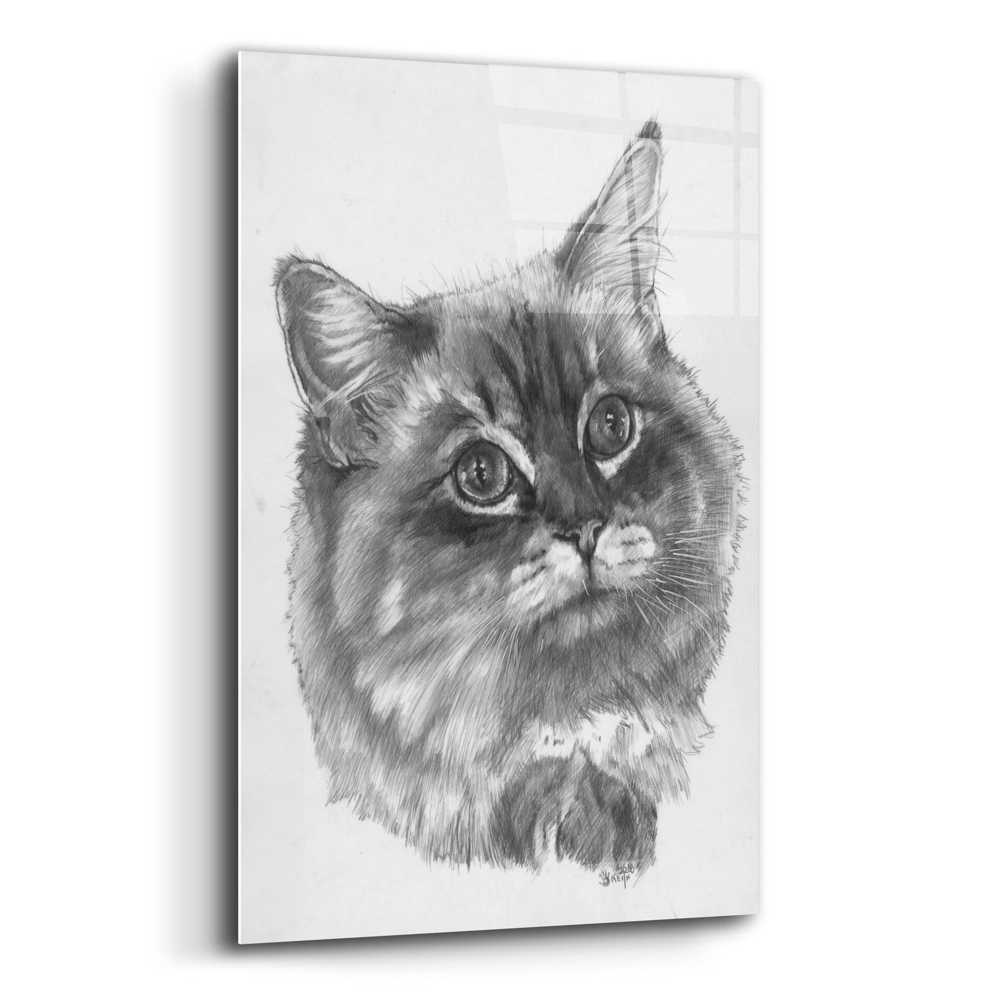 Epic Art 'Kitty' by Barbara Keith, Acrylic Glass Wall Art,12x16